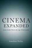 Cinema Expanded (eBook, PDF)