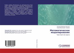 Matematicheskoe modelirowanie - Pan'kina, Swetlana Iwanowna;Tokmazow, Georgij Vasil'ewich