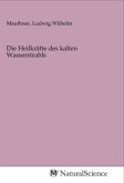 Die Heilkräfte des kalten Wasserstrahls Die Heilkräfte des kalten Wasserstrahls