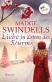 Liebe in Zeiten des Sturms (eBook, ePUB)