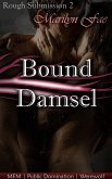 Bound Damsel (eBook, ePUB)