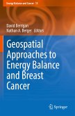 Geospatial Approaches to Energy Balance and Breast Cancer