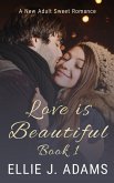 Love is Beautiful Book 1 (New Adult Sweet Romance Series, #5) (eBook, ePUB)