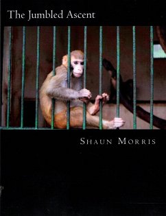 Cover The Jumbled Ascent (eBook, ePUB)