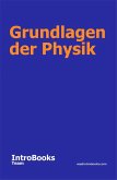 Grundlagen der Physik (eBook, ePUB)