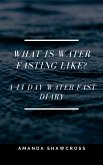 What Is Water Fasting Like? (eBook, ePUB)
