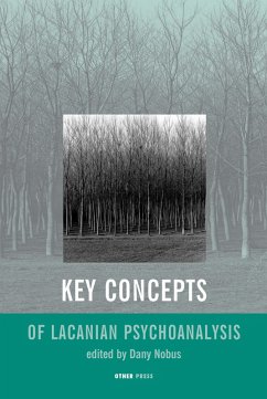 Key Concepts of Lacanian Psychoanalysis (eBook, ePUB) - Nobus, Dany