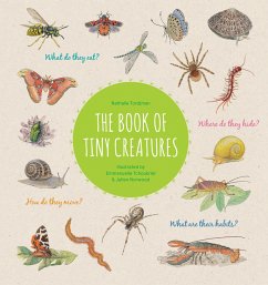 The Book of Tiny Creatures - Tordjman, Nathalie