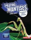 Praying Mantises