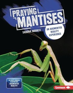 Praying Mantises - Markle, Sandra