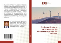 Etude numérique et expérimentale des écoulements autour des turbines - Driss, Zied