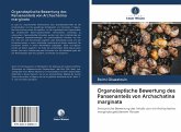 Organoleptische Bewertung des Pansenanteils von Archachatina marginata