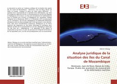 Analyse juridique de la situation des îles du Canal de Mozambique - Tafangy, Adonis