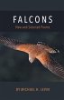 Falcons - Bild 1