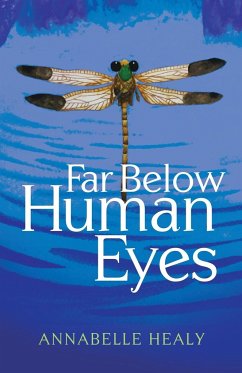 Far Below Human Eyes - Healy, Annabelle