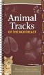 Animal Tracks of the Northeast - Bild 1