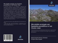 Microbiële ecologie van Espeletia grandiflora in het Ocetá-meer - Forero Jiménez, David Andrés; Roa Angulo, Virginia