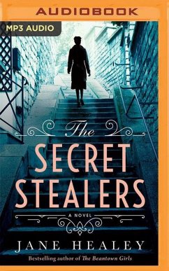 The Secret Stealers - Healey, Jane