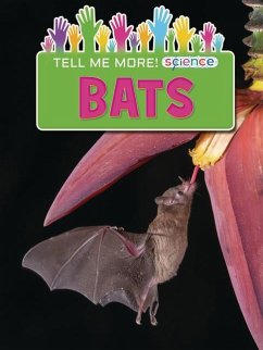 Bats - Owen, Ruth