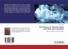 The theory of structuralism and... - Bild 1