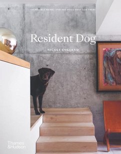 Resident Dog (Compact) - England, Nicole