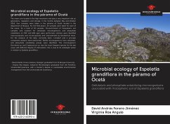 Microbial ecology of Espeletia grandiflora in the páramo of Ocetá - Forero Jiménez, David Andrés; Roa Angulo, Virginia