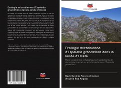 Écologie microbienne d'Espeletia grandiflora dans la lande d'Ocetá - Forero Jiménez, David Andrés;Roa Angulo, Virginia