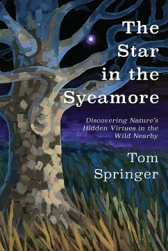 The Star in the Sycamore - Springer, Tom
