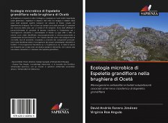 Ecologia microbica di Espeletia grandiflora nella brughiera di Ocetá - Forero Jiménez, David Andrés;Roa Angulo, Virginia