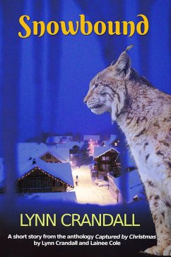 Cover Snowbound (eBook, ePUB)