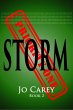 Storm (Priority One, #2) (eBook, ePUB) - Bild 1