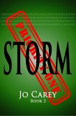 Storm (Priority One, #2) (eBook, ePUB)