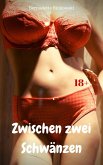 Zwischen zwei Schwänzen (eBook, ePUB)