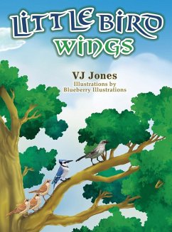 LITTLE BIRD WINGS - Jones, V J