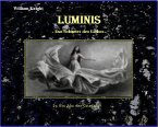 Luminis-das Schwert des Lichts (eBook, ePUB)