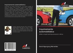 Inquinamento automobilistico - Merveilles, David Ngongang