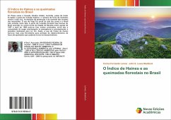 O Índice de Haines e as queimadas florestais no Brasil