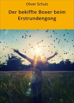 Der bekiffte Boxer beim Erstrundengong (eBook, ePUB) - Schulz, Oliver