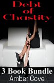 Debt of Chastity 3 Book Bundle (eBook, ePUB)