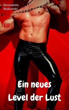 Cover Ein neues Level der Lust (eBook, ePUB)