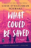 What Could Be Saved (eBook, ePUB)