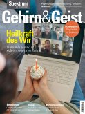 Gehirn&Geist 8/2020 Die Heilkraft des Wir (eBook, PDF)