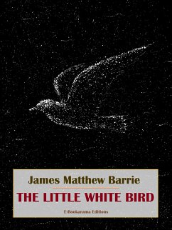The Little White Bird (eBook, ePUB) - Matthew Barrie, James