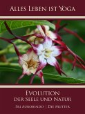 Die Evolution der Seele und Natur (eBook, ePUB)