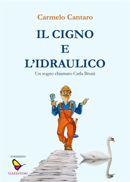 Il cigno e l'idraulico (eBook, ePUB) Il cigno e l'idraulico (eBook, ePUB)