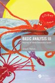 Basic Analysis III (eBook, PDF)