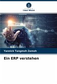 Ein ERP verstehen