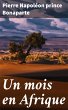 Un mois en Afrique (eBook, ePUB) - Bild 1