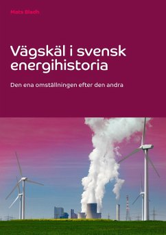Vägskäl i svensk energihistoria (eBook, ePUB)