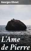 L'Ame de Pierre (eBook, ePUB)